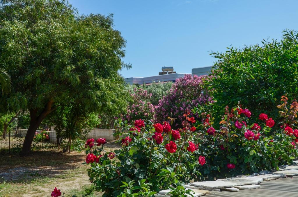 Golden Beach Glyfada Apartments Kastraki  Exterior photo
